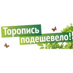 СКИДКИ НА ЛОДКИ ФЛАГМАН!!! картинка 1 СКИДКИ НА ЛОДКИ ФЛАГМАН!!! картинка 1